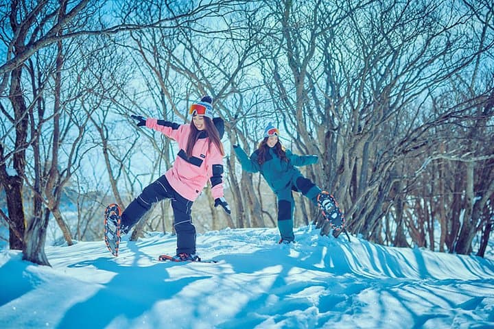Biwako Valley Winter Ski Day Tour from Osaka — Lake Biwa Views & Ropeway Rides photo 2