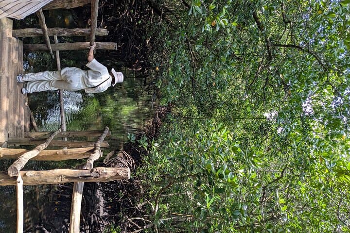 Jozani Forest, Maalum Cave & Kae Fank Sunset: Private Full-Day Wildlife and Coastal Tour photo 3