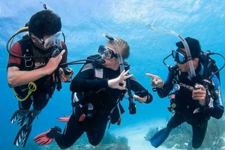 Hurghada Two‑Tank Red Sea Dive with Lunch and Transfers