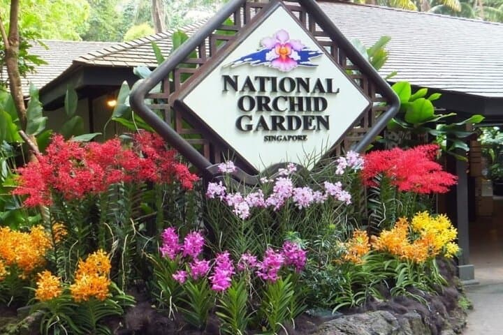 Inside Singapore’s National Orchid Garden: Tickets, Tips & What to Expect