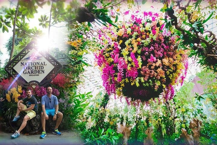 Inside Singapore’s National Orchid Garden: Tickets, Tips & What to Expect photo 3