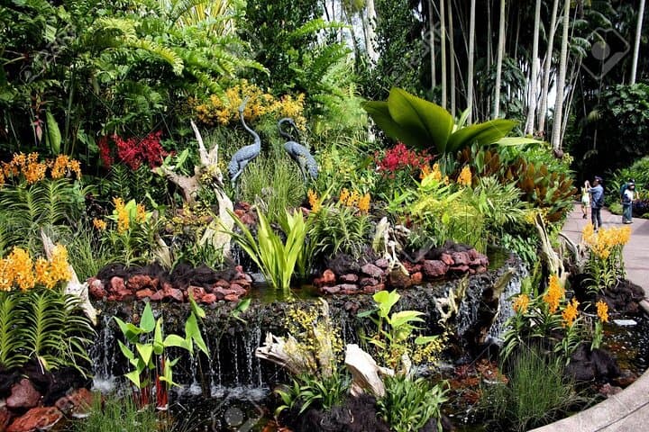 Inside Singapore’s National Orchid Garden: Tickets, Tips & What to Expect photo 5