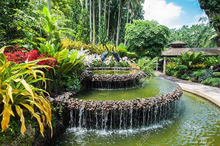 Inside Singapore’s National Orchid Garden: Tickets, Tips & What to Expect photo 6