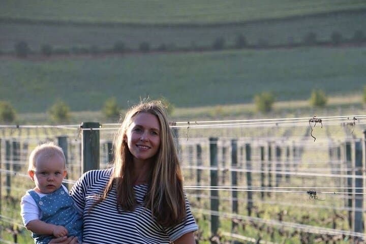 Ultimate South African Wine Tour: Cape Winelands Tasting & Estate Visits photo 6