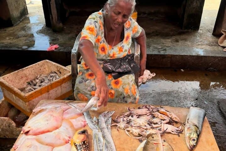 Negombo Scooty Tour: Explore the Lagoon, Fish Market & Colonial Sights photo 6