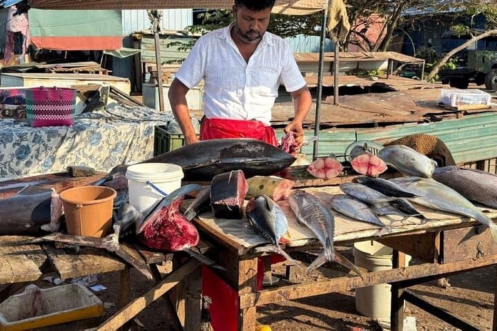 Negombo Scooty Tour: Explore the Lagoon, Fish Market & Colonial Sights photo 5