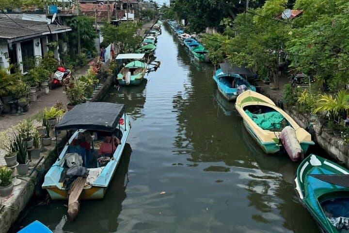 Negombo Scooty Tour: Explore the Lagoon, Fish Market & Colonial Sights photo 2