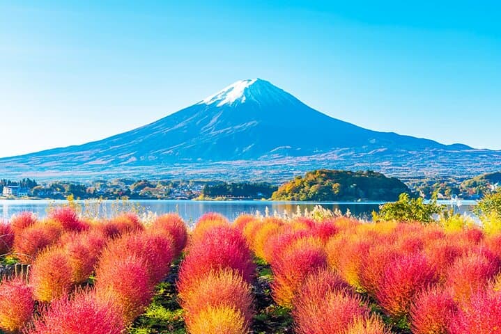 Mt. Fuji Day Tour: Kawaguchiko Ropeway, Matcha Workshop & Oshino Hakkai