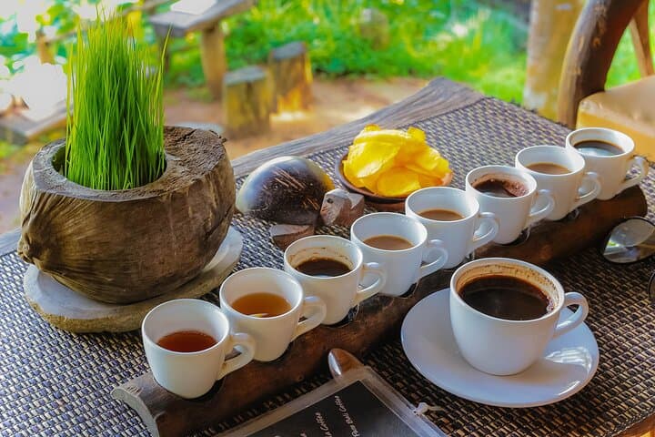Best of Ubud: Waterfalls, Temple & Rice Terraces Private Day Tour photo 6
