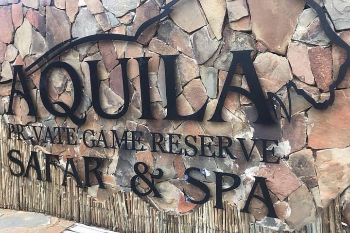 Aquila Safari Full-Day Big Five Safari from Cape Town photo 6