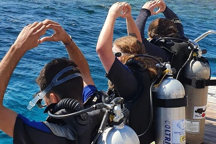 Hurghada Beginner Scuba Dive: Two Intro Dives with Lunch & Transfers