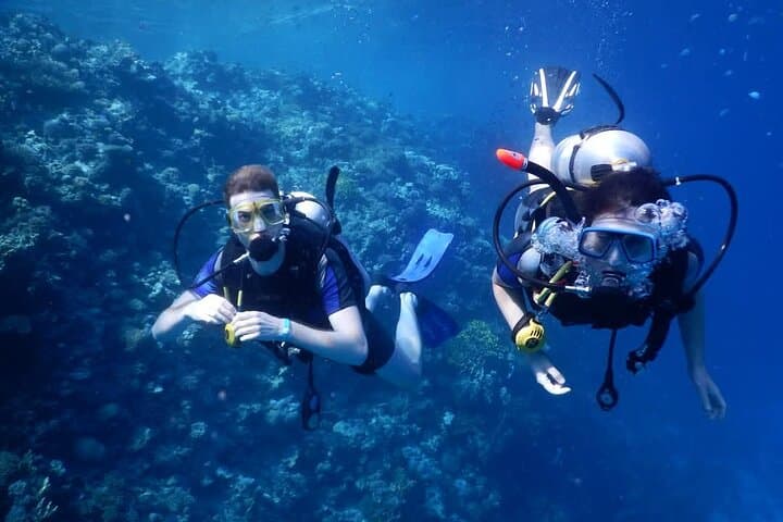 Hurghada Beginner Scuba Dive: Two Intro Dives with Lunch & Transfers photo 3