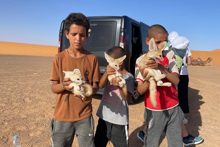 Merzouga Desert Camp & Jeep Tour: 2 Nights in Erg Chebbi photo 5