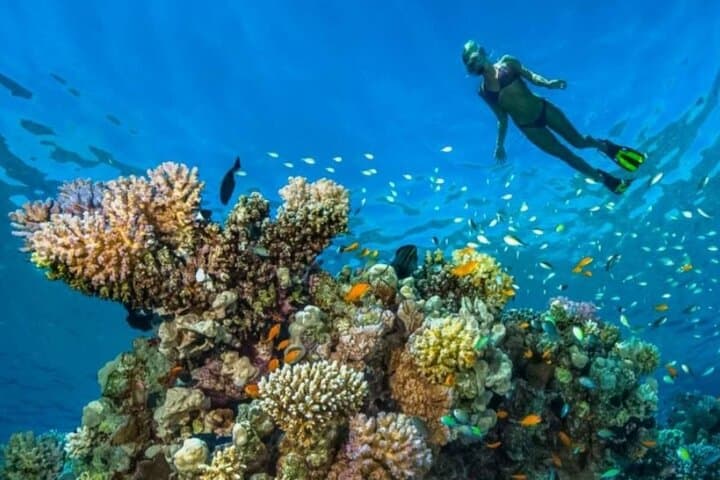 Hurghada Full-Day Snorkeling Trip — Red Sea Reefs, Lunch & Transfers