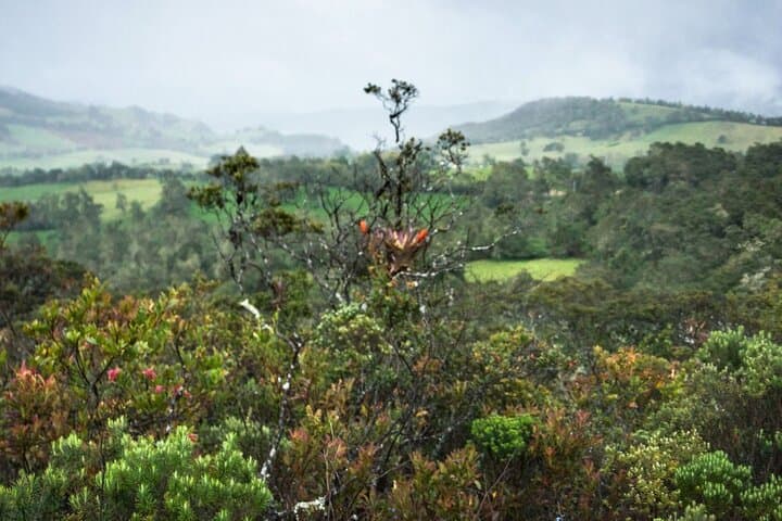 Guatavita Lake Day Trip from Bogotá — Hike to the Legendary El Dorado Lake photo 5
