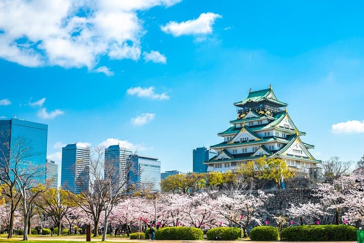 Osaka Samurai & Culture Private Shore Tour — Osaka Castle, Tea Ceremony & Dotonbori photo 6
