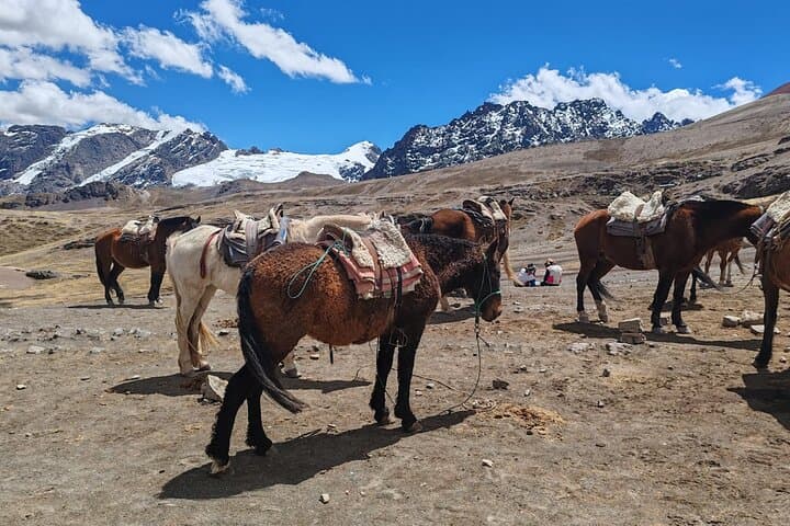 Day Trip to Rainbow Mountain (Vinicunca) from Cusco — High‑Altitude Hike & Cultural Insight photo 4