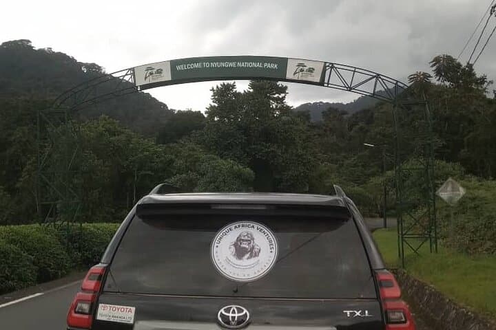 Nyungwe Canopy Walk and 2km Zipline from Kigali: Rainforest Treetop Adventure photo 2
