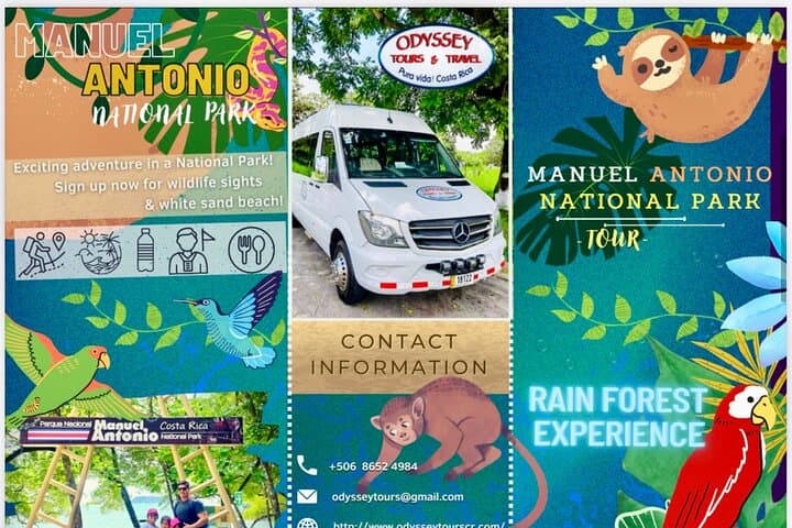Manuel Antonio Park and Beach Tour: Guided Rainforest Hike & Beach Break from Jaco photo 5