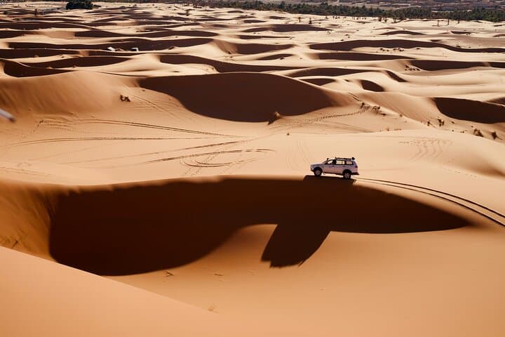 Doha Desert Safari: Dune Driving, Camel Rides & Inland Sea Experience photo 3