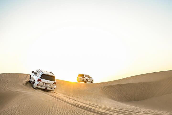 Doha Desert Safari: Dune Driving, Camel Rides & Inland Sea Experience