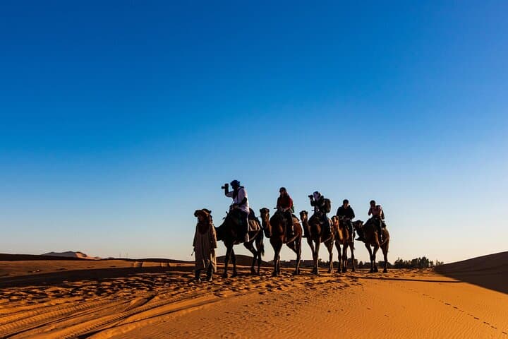 Doha Desert Safari: Dune Driving, Camel Rides & Inland Sea Experience photo 4