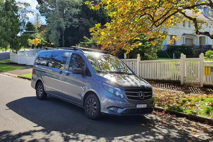 Private Luxury Blue Mountains Tour from Sydney — Three Sisters, Wildlife & Secret Lookouts photo 4