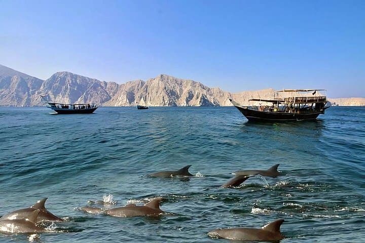 Khasab Musandam Dhow Cruise: Dolphin Watching & Snorkeling at Telegraph and Seebi Islands photo 4