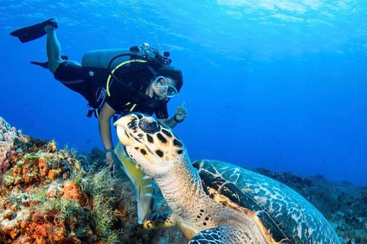 Personalized Diving and Snorkeling in Riviera Maya — Puerto Aventuras Marina Reefs photo 3