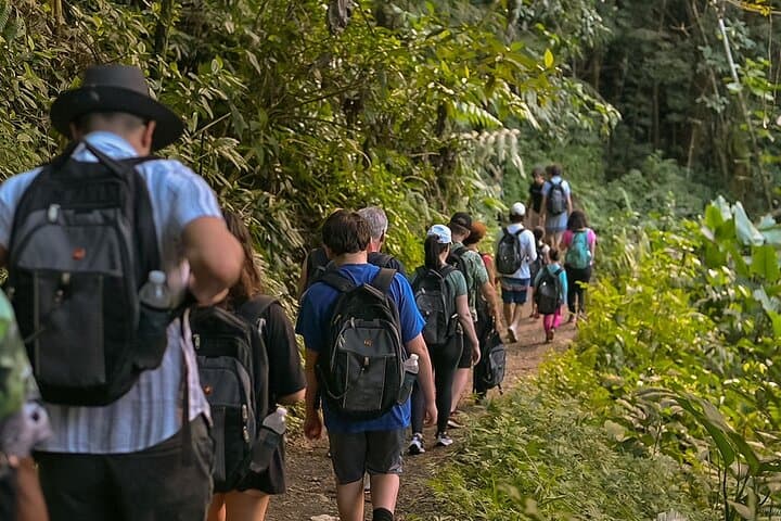 El Yunque Angelito Trail Rainforest Walk to Las Damas Natural Pool photo 6