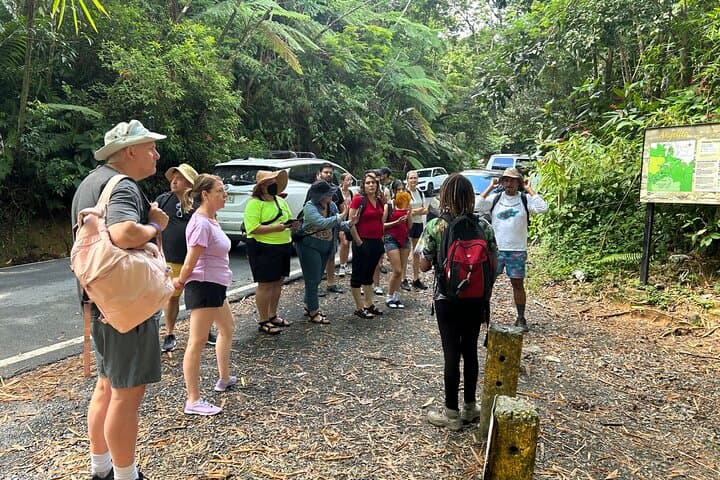 El Yunque Angelito Trail Rainforest Walk to Las Damas Natural Pool photo 5