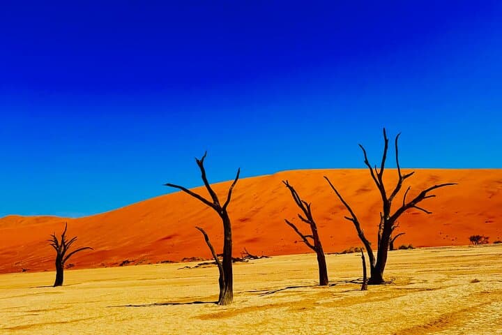 6-Day Namibia Desert and Wildlife Safari: Sossusvlei Dunes to Etosha Game Drives