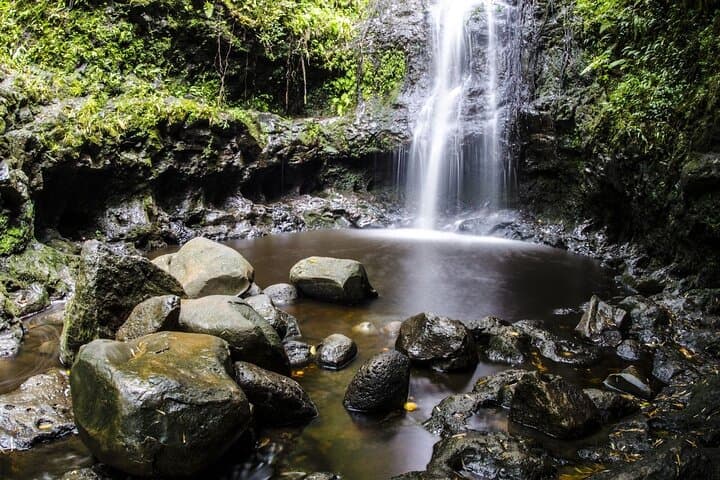 VIP Waimea Falls Hiking Tour with Limousine on Oahu's North Shore photo 1