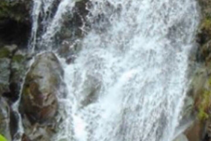 VIP Waimea Falls Hiking Tour with Limousine on Oahu's North Shore photo 4