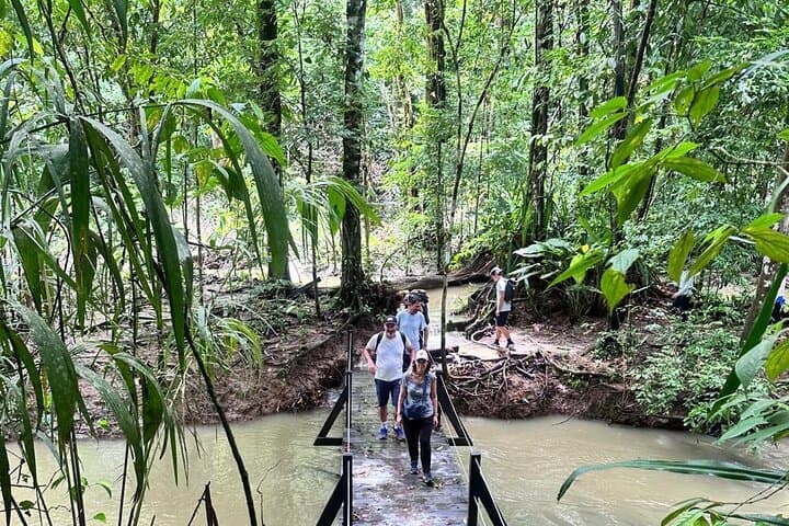 Corcovado Overnight Hike: La Leona to Sirena — 18 km Jungle Trek and Pacific Boat Return photo 2