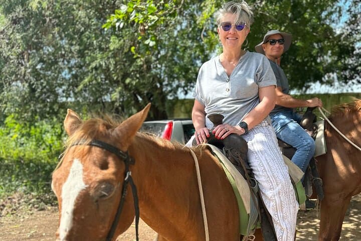 Punta Cana Beach Horseback Riding Adventure — Shoreline Rides & Local Culture photo 4