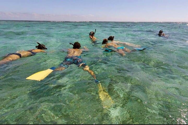 Private San Pedro to Caye Caulker Snorkel — Hol Chan, Shark Ray Alley & Coral Gardens