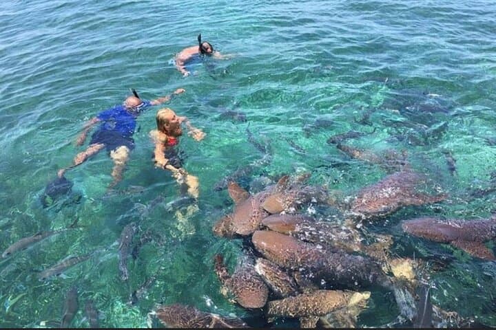 Private San Pedro to Caye Caulker Snorkel — Hol Chan, Shark Ray Alley & Coral Gardens photo 2