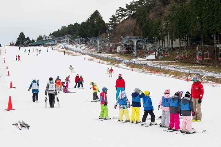 Rokko Snow Park Ski & Arima Onsen Day Tour from Osaka — Ski, Sled & Hot Springs photo 3