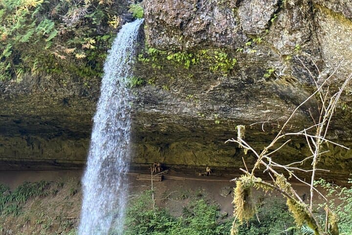 Seven Falls at Silver Falls State Park: Guided Trail of Ten Falls Winter Falls Loop photo 3