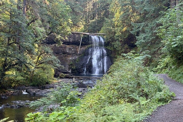 Seven Falls at Silver Falls State Park: Guided Trail of Ten Falls Winter Falls Loop photo 5