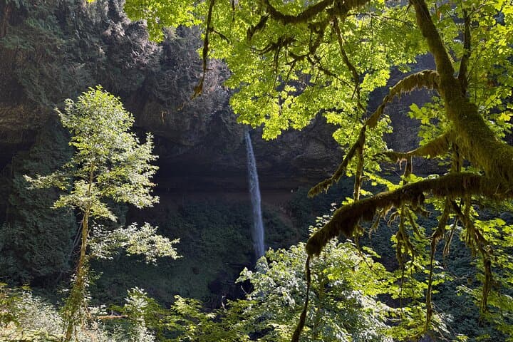 Seven Falls at Silver Falls State Park: Guided Trail of Ten Falls Winter Falls Loop photo 6