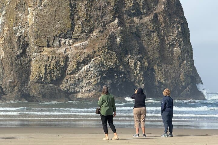 Tide, Cheese, and Whales