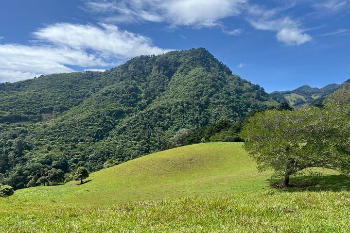 Pico Blanco Sky Ridge Hike: La Ventolera to the White Peak