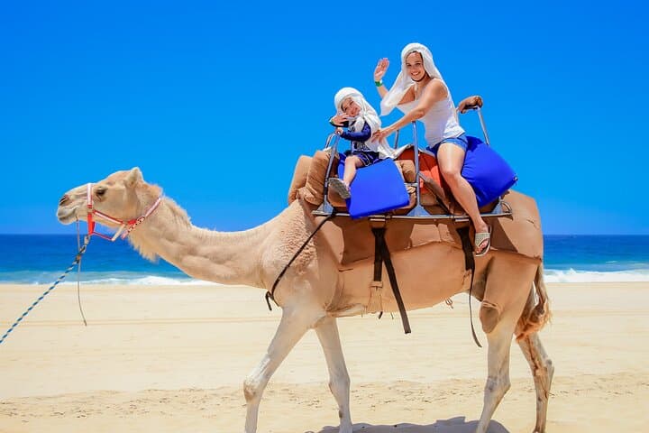 Desert Camel Ride in Los Cabos: 3-Hour Safari with Buffet & Tequila Tasting photo 3