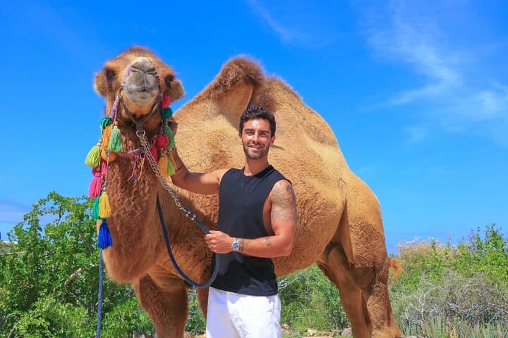 Desert Camel Ride in Los Cabos: 3-Hour Safari with Buffet & Tequila Tasting photo 6