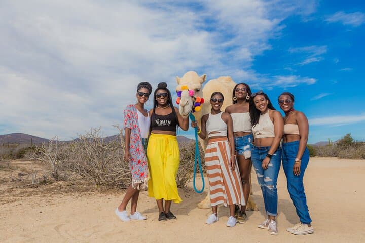 Desert Camel Ride in Los Cabos: 3-Hour Safari with Buffet & Tequila Tasting photo 5