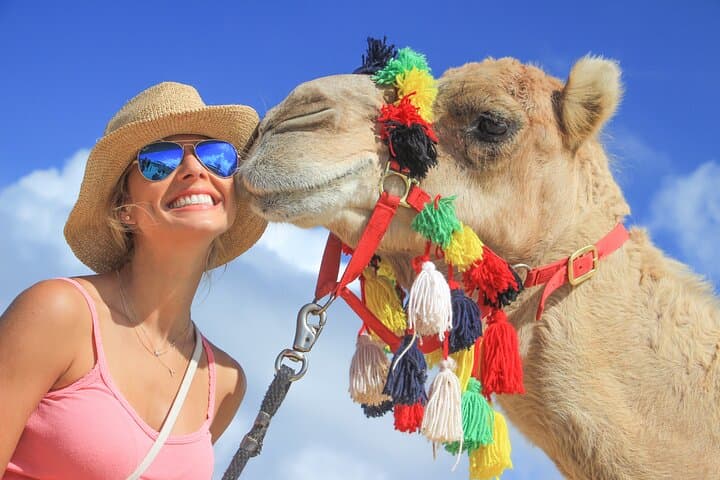Desert Camel Ride in Los Cabos: 3-Hour Safari with Buffet & Tequila Tasting photo 2