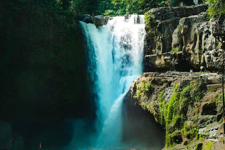 Ubud Highlights: Private Day Tour with Jungle Swing & Temple Rituals photo 3
