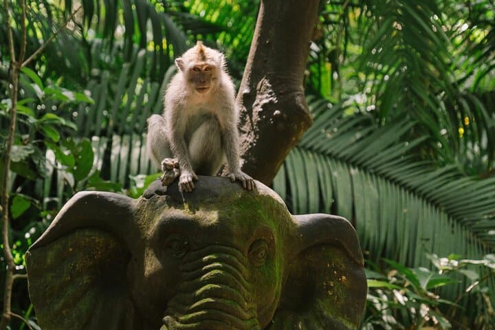 Ubud Highlights: Private Day Tour with Jungle Swing & Temple Rituals